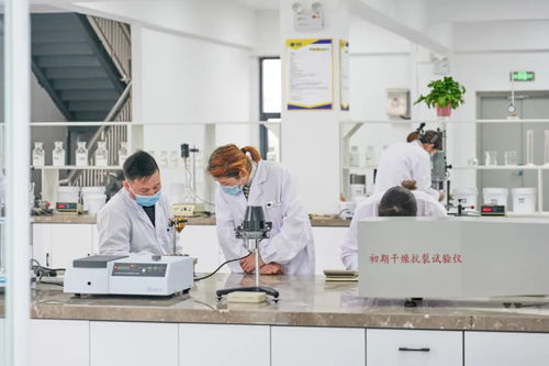 北方仿石漆龍頭 以技術(shù)筑基，筑價(jià)值壁壘