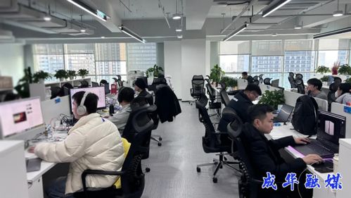 出海升級，攻堅(jiān)克難 成都成華科技企業(yè)開啟2026沖刺模式